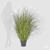 edg enzo de gasperi edg enzo de gasperi festuca con vaso artificiale h 142 cm green pink ean 8056372979552