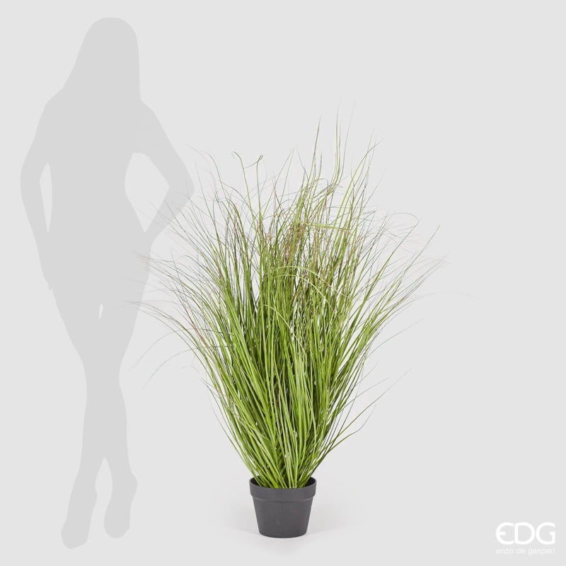 edg enzo de gasperi edg enzo de gasperi festuca con vaso artificiale h 122 cm green pink ean 8056372979569