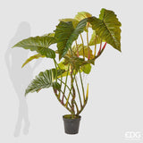 edg enzo de gasperi edg enzo de gasperi alocasia pianta con vaso artificiale h 177 cm green ean 8059824923059
