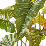 edg enzo de gasperi edg enzo de gasperi alocasia pianta con vaso artificiale h 177 cm green ean 8059824923059