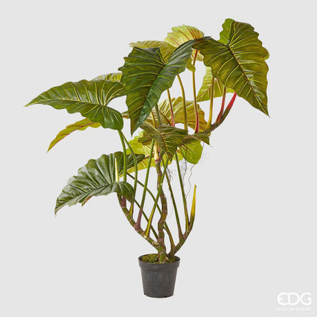 edg enzo de gasperi edg enzo de gasperi alocasia pianta con vaso artificiale h 177 cm green ean 8059824923059
