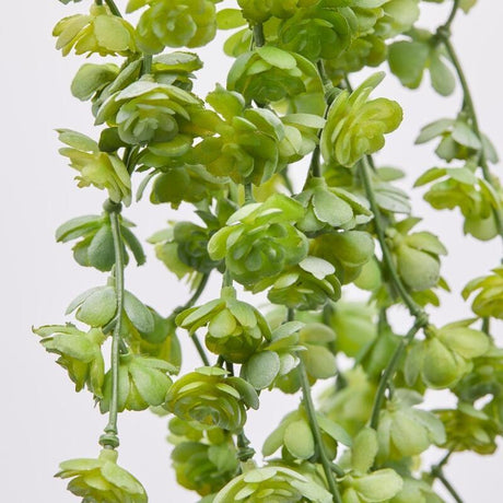 EDG Enzo De Gasperi Echeveria Olis Cespuglio Cadente H 44 Cm Pianta Artificiale Verde Chiaro