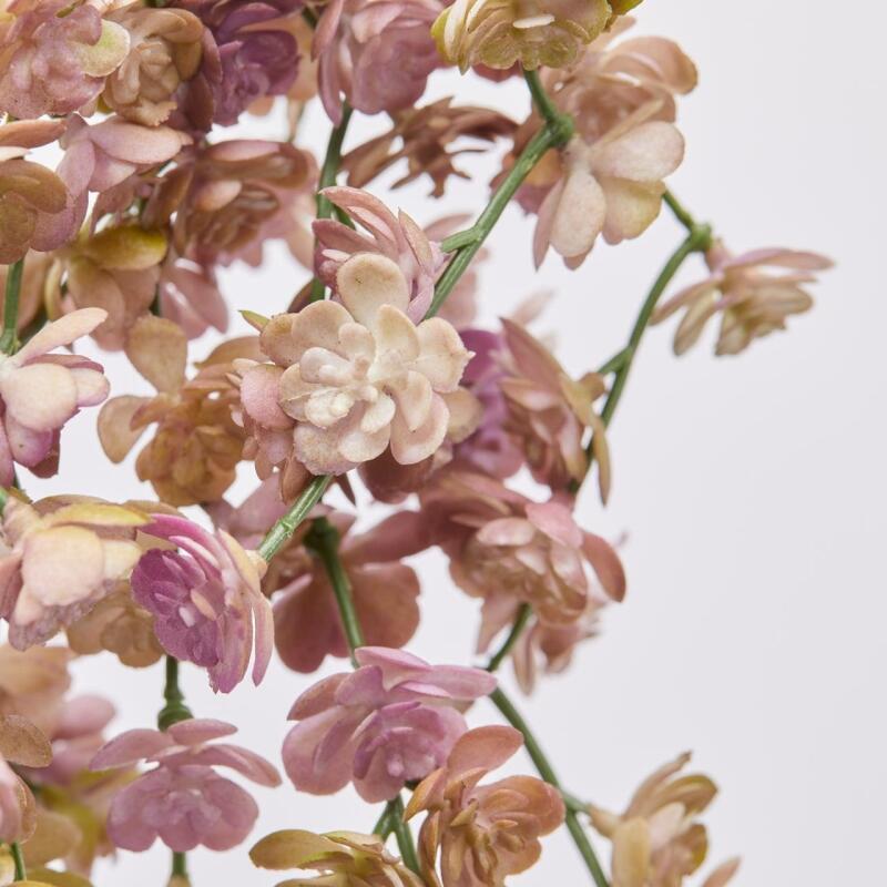 EDG Enzo De Gasperi Echeveria Olis Cespuglio Cadente H 44 Cm Pianta Artificiale Rosa Verde Chiaro