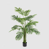 Palma Areca C/Vaso H150 C3 Green