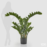 edg enzo de gasperi edg enzo de gasperi zamifolia 15 rami con vaso h 130 cm green ean 8054184813552