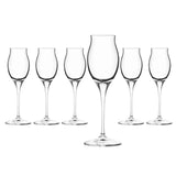 RCR Cristalleria Italiana Invino - I10 Liquore - Set da 6 Calici Liquore in Vetro