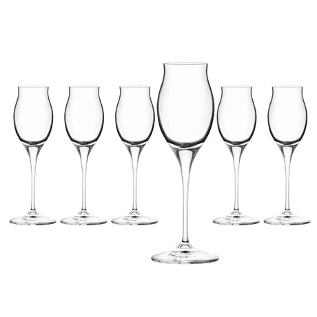 RCR Cristalleria Italiana Invino - I10 Liquore - Set da 6 Calici Liquore in Vetro