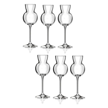 Invino Glass 11 Cl I11 Brandy 6 Pcs