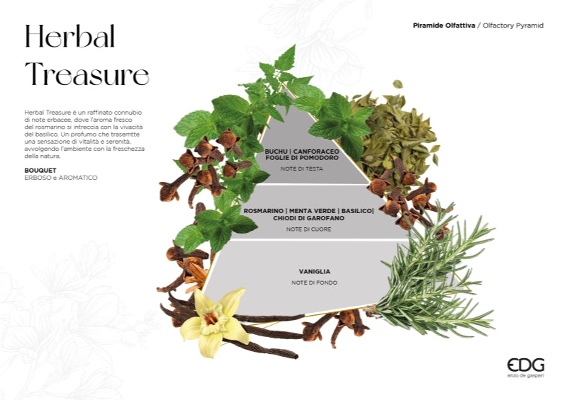 EDG Enzo De Gasperi Profumatore Bottiglia Atena Herbal Treasure 180 ml – Profumatore Ambiente Natalizio