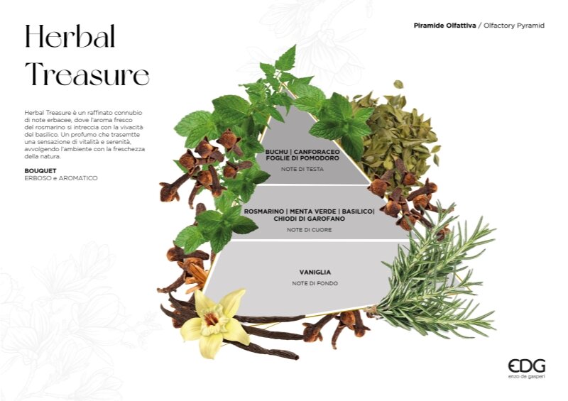EDG Enzo De Gasperi Profumatore Bottiglia Atena Herbal Treasure 460 ml H16 Ø9 cm – Profumo per Ambiente