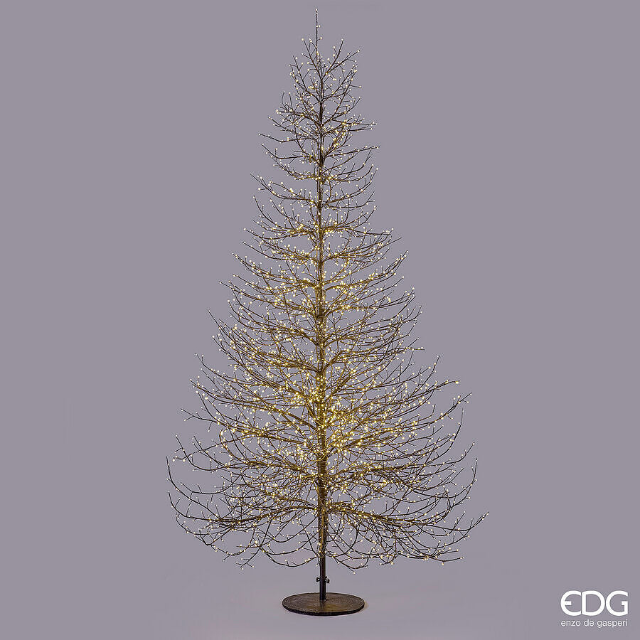 EDG Enzo De Gasperi Albero di Natale Faggio Rich Black 6590 MicroLED H300 Ø180 cm IP44 – Albero Luminoso da Esterno