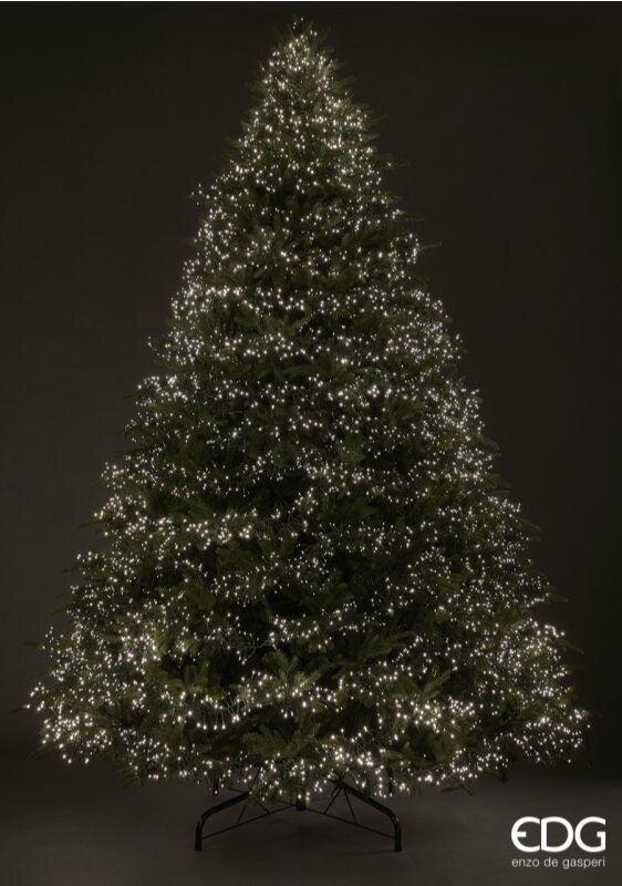 EDG Enzo De Gasperi Albero di Natale Pino Spark H 365 Cm D 220 Cm 13.000 Led Verde