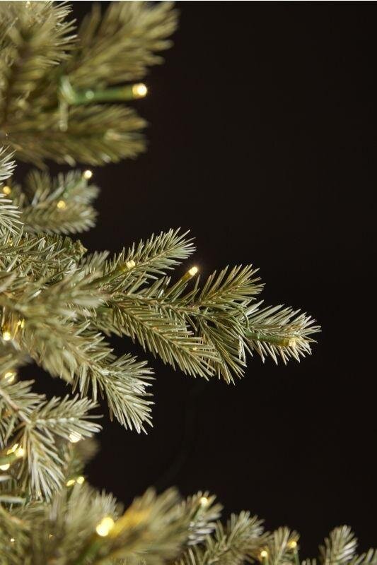 EDG Enzo De Gasperi Albero di Natale Pino Argentato 3.000 Led H 180 Cm D 135 Cm Ip44
