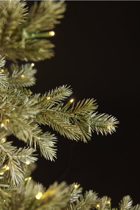 EDG Enzo De Gasperi Albero di Natale Pino Argentato 5.000 Led H 240 Cm D 166 Cm Ip44