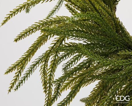 EDG Enzo De Gasperi Corona Natalizia in Cryptomeria Verde Ø35 cm – Ghirlanda Decorativa per Porte, Pareti e Addobbi di Natale