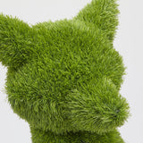 edg enzo de gasperi edg enzo de gasperi decoro erba volpe h 50 cm green ean 8059824455192