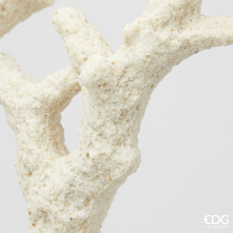 edg enzo de gasperi edg enzo de gasperi scultura corallo h 94 cm l 24 cm l 16 cm ivory ean 8059824482785