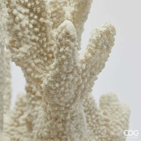 edg enzo de gasperi edg enzo de gasperi scultura corallo h 385 cm l 37 cm l 14 cm ivory ean 8059824482815