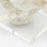 edg enzo de gasperi edg enzo de gasperi scultura corallo h 385 cm l 37 cm l 14 cm ivory ean 8059824482815