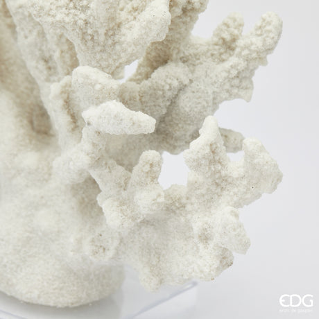 edg enzo de gasperi edg enzo de gasperi scultura corallo h 22 cm l 28 cm l 10 cm ivory ean 8059824482938