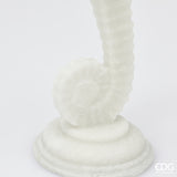 edg enzo de gasperi edg enzo de gasperi scultura ippocampo h 31 cm d 10 cm ivory ean 8059824482990