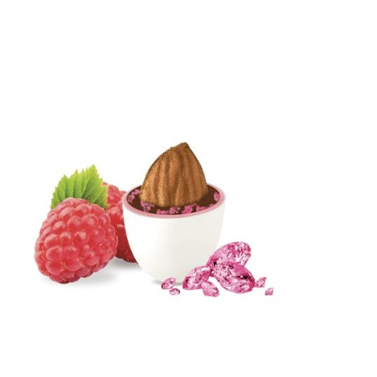 Maxtris Confetti Cristalli al Lampone Mandorle Tostate 1 Kg