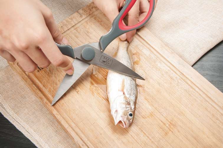 Salvinelli Forbice Casa L 21 Cm Acciaio