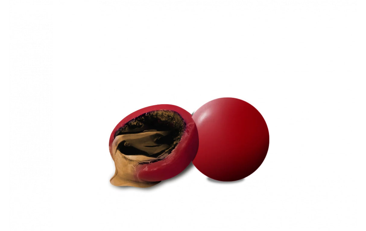 Maxtris Confetti Liquorelli Rhum 500 Gr Angolo Cubano