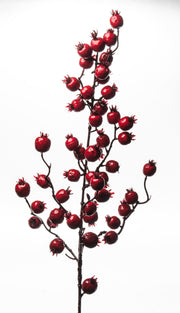ARPIMEX Tralcio Natale Bacche 80 Cm Rosso