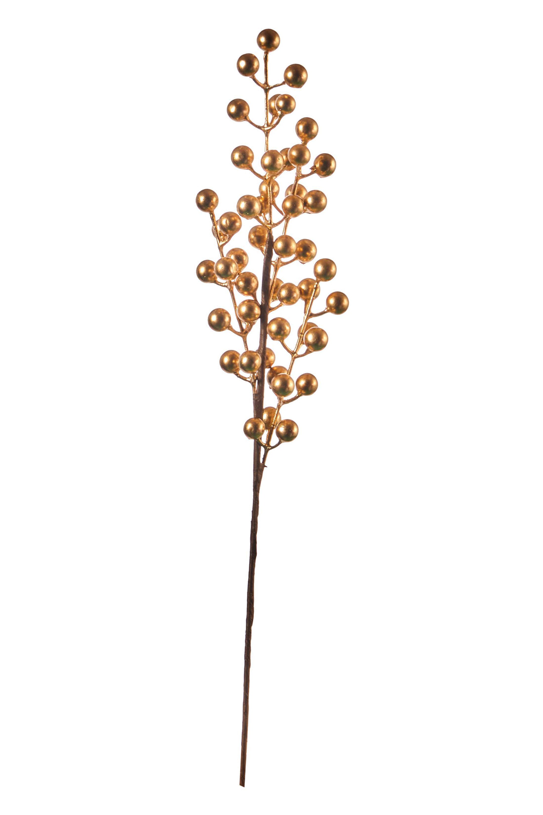 ARPIMEX Ramo Bacca di Natale H 50 Cm Oro