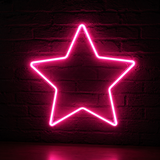 EDG Enzo De Gasperi NeonLed Stella di Natale Double Face D 60 Cm 240 Led Pink