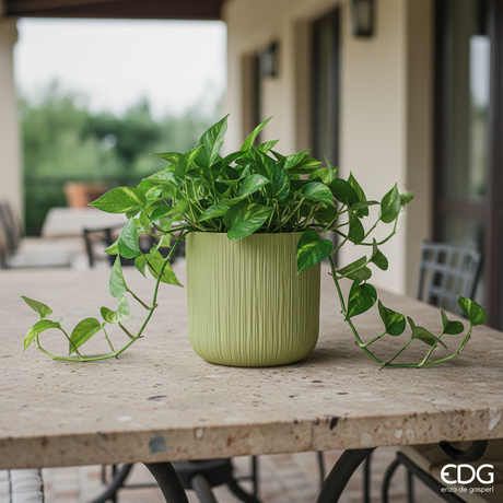 Gen Aqua/Kiwi 18cm – Terrazza v2