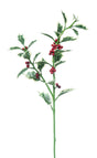 immagine-1-arpimex-agrifoglio-grande-80-cm-rosso-verde-ean-8018318351099