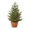 immagine-1-arpimex-albero-di-natale-pinetto-scotch-con-cesto-65-cm-ean-8018318823121