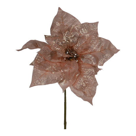 arpimex arpimex pick poinsettia di natale h 32 cm rosa ean 8018318566523