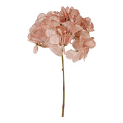 ARPIMEX Pick Ortensia di Natale H 32 Cm Rosa