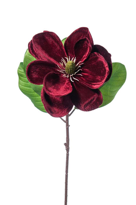 immagine-1-arpimex-magnolia-singola-deluxe-velvet-62-cm-burgundy-ean-8018318406225