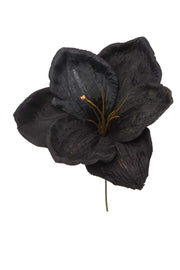 ARPIMEX Pick Amarillys D 16 Cm H 18 Cm Nero