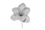 ARPIMEX Pick Amaryllis Innevato Natale 23 Cm Blu