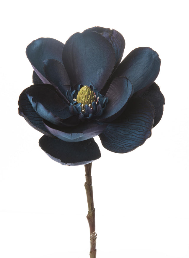 immagine-1-arpimex-pick-magnolia-blu-ean-8018318349553