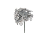 ARPIMEX Pick Ortensia Innevata 19 Cm Blu
