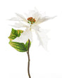 immagine-1-arpimex-pick-poinsettia-30-cm-bianco