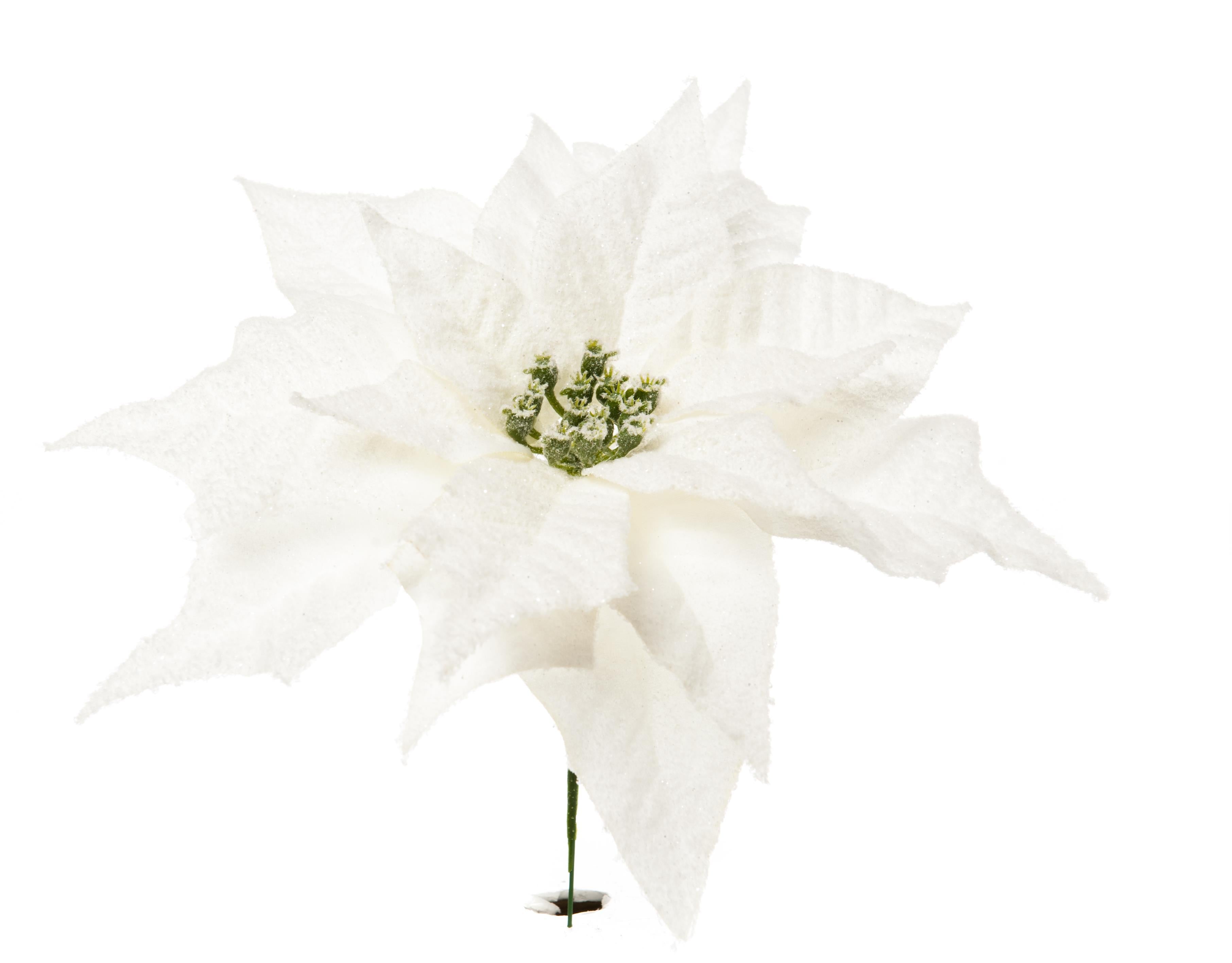 immagine-1-arpimex-pick-poinsettia-stella-di-natale-innevata-bianca-ean-8018318350238