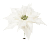 ARPIMEX Pick Natale Poinsettia Stella di Natale Innevata Bianca