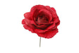 immagine-1-arpimex-pick-rosa-rossa-ean-8018318739804