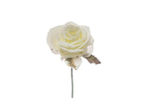 ARPIMEX Pick Rosino Innevato Bianco