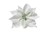 ARPIMEX Pick Natale Stella di Natale Poinsettia Innevata 23 Cm Bianca