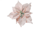 ARPIMEX Pick Natale Stella di Natale Poinsettia Innevata 23 Cm Cipria