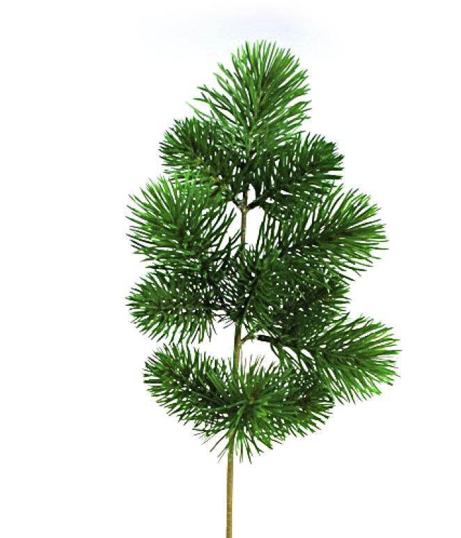 24 Pz Verde Artificiale Aghi di Pino Rami Natale Pino Raccoglie