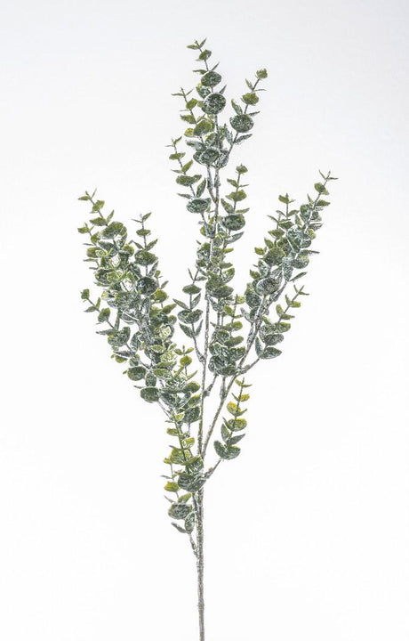 immagine-1-arpimex-ramo-eucalipto-innevato-71-cm-verde-ean-8018318331251